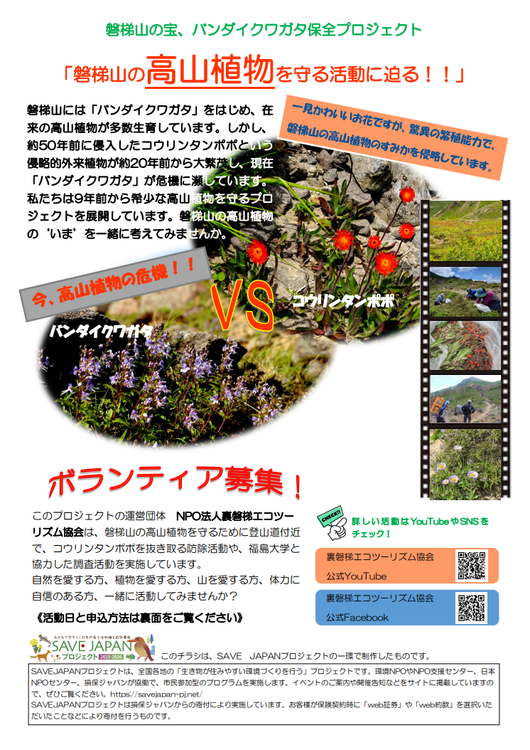 磐梯山の宝、バンダイクワガタ保全プロジェクト「磐梯山の高山植物を守る活動に迫る！！」